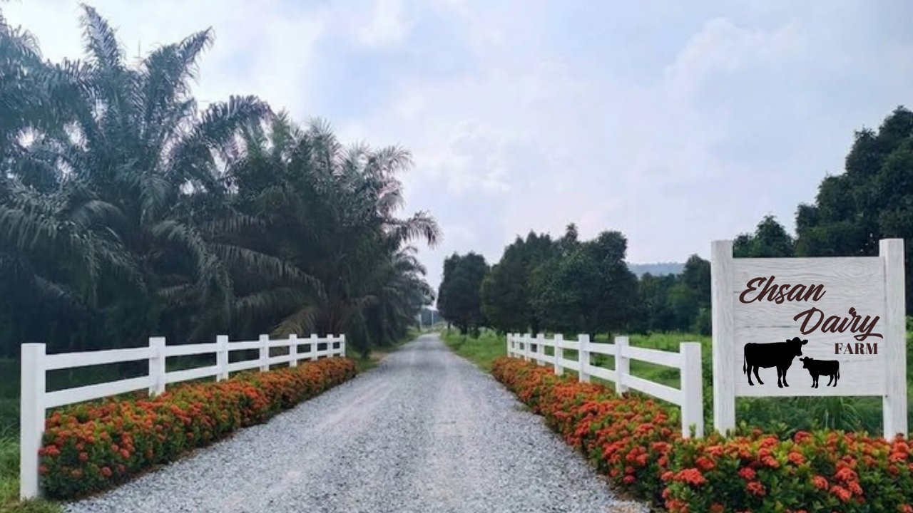 Image hover effect image